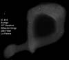 � M. D�hne; IC 410