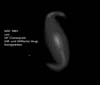 � M. D�hne; NGC 2903