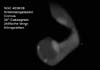 � M. D�hne; NGC 4038/39