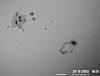 © N. Kloth; Sonnenfleckengruppe vom 28.10.2003, 4''-Refraktor, AstroSolar Sonnenfilterfolie + 16 mm Ortho, afokal mit Kodak Digitalkamera DX 3900, starke Luftunruhe.