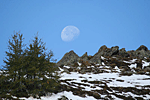 © W. Ransburg; Gerade noch rechtzeitig für ein schönes Schauspiel - der Mond verabschiedet sich hinter den Bergen.