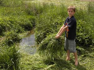 � N. Kloth 2004