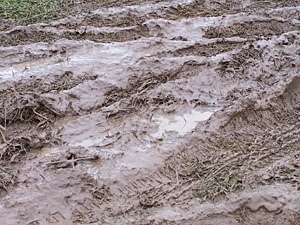 � N. Kloth 2006